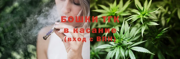 сатива Арсеньев
