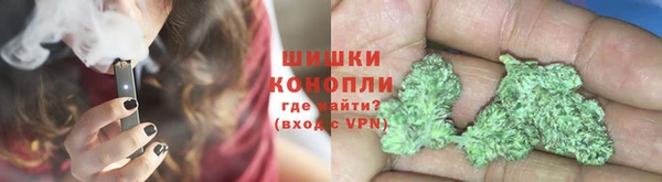 сатива Арсеньев