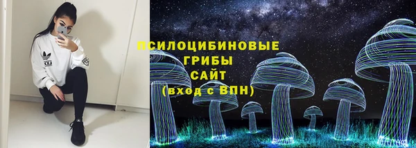 сатива Арсеньев