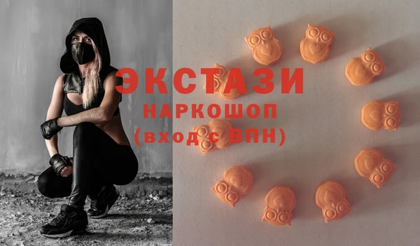 хмурый Алексин