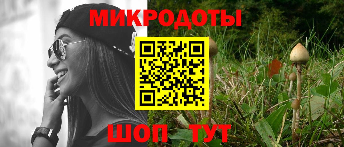 Галлюциногенные грибы прущие грибы Междуреченск