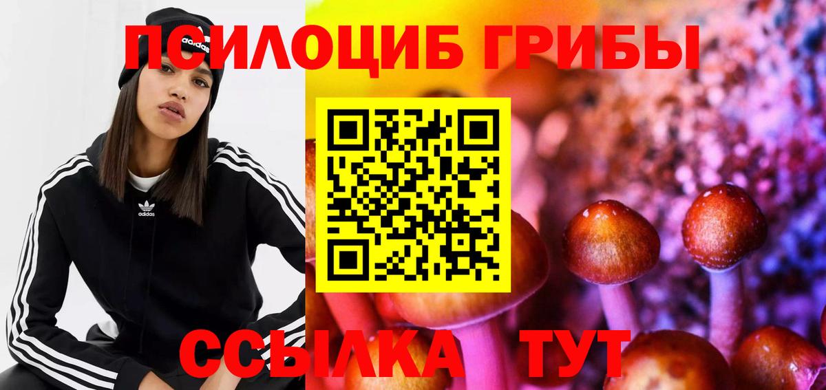Междуреченск  Галлюциногенные грибы MAGIC MUSHROOMS  Вход с VPN 